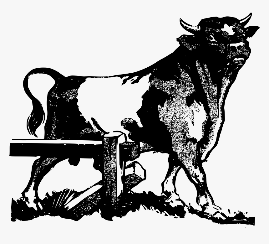 Big Image Png - Black White Brahman Bull Drawing, Transparent Png, Free Download
