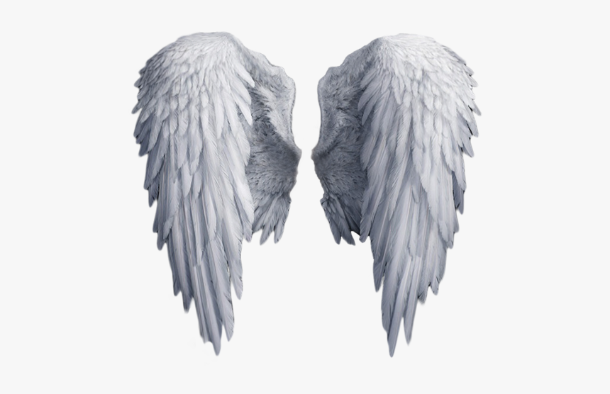 Angel Wings Png Download - Angel Wings No Background, Transparent Png, Free Download