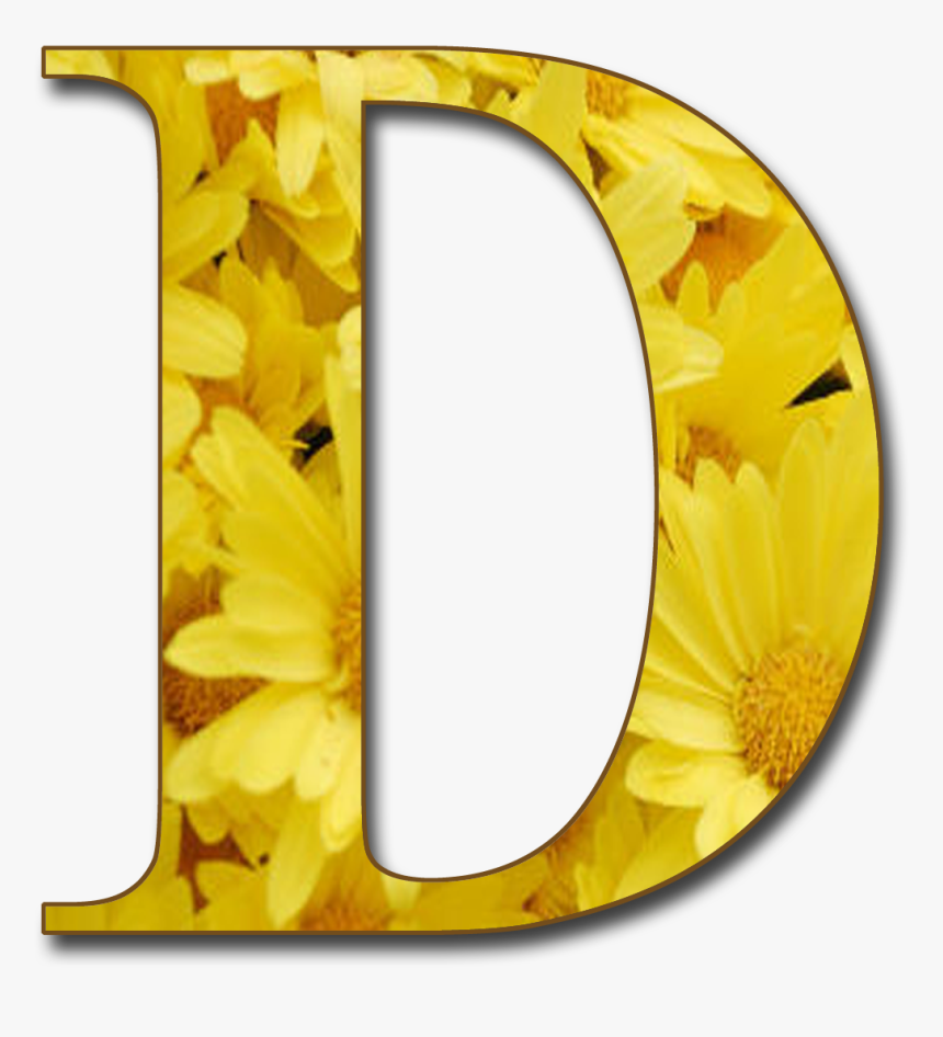 Png Images Of Letters D, Transparent Png, Free Download