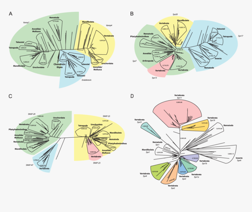 Diagram, HD Png Download, Free Download