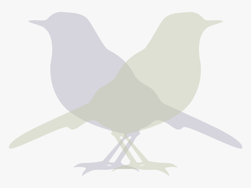 Perching Bird, HD Png Download, Free Download