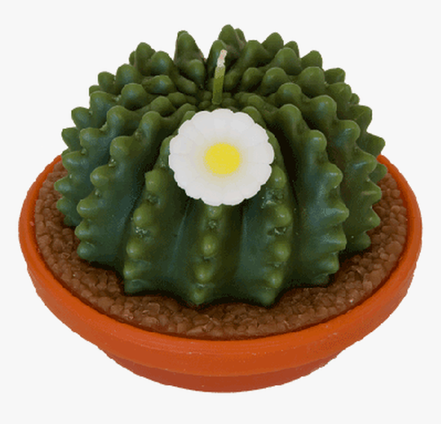 Cactus Candle, HD Png Download, Free Download