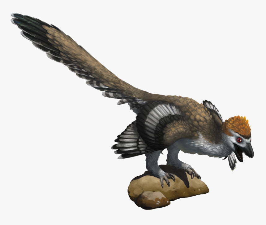 Zhenyuanlong Transparent Bg - Turkey, HD Png Download, Free Download