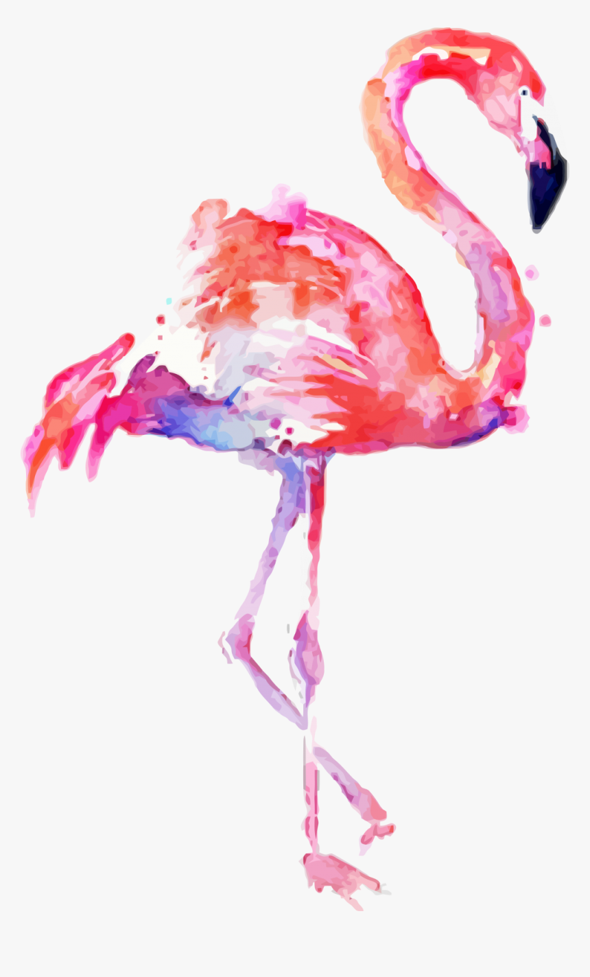 Transparent Background Flamingo Clipart, HD Png Download, Free Download