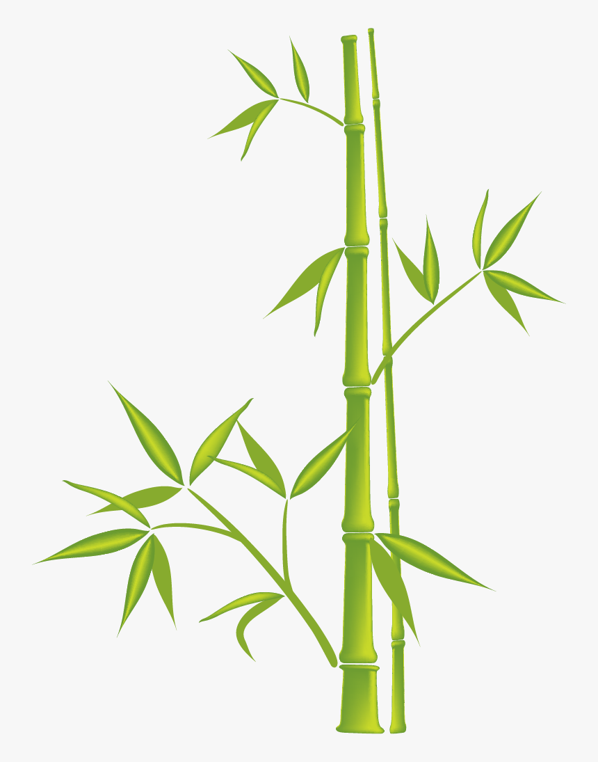 Caña De Bambu Dibujo, HD Png Download, Free Download