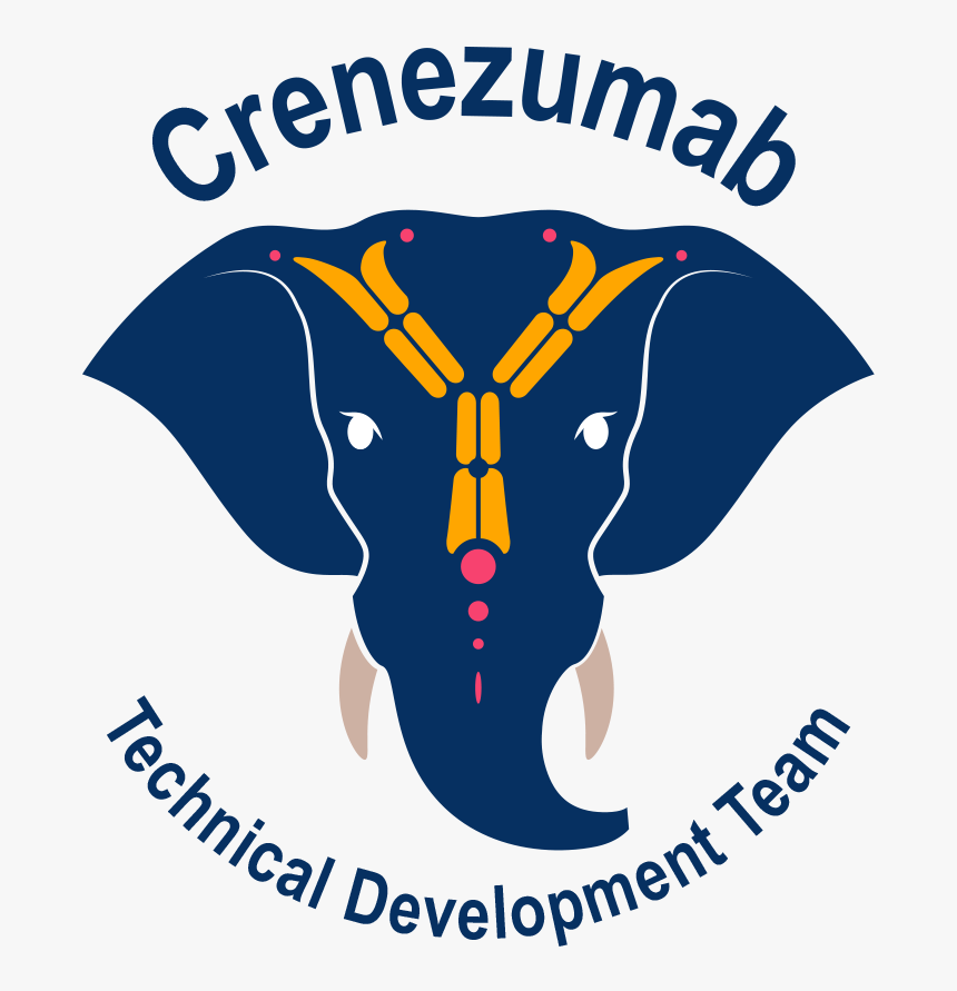 Akb Crenezumablogo - Research And Development, HD Png Download, Free Download