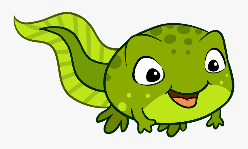 Tadpole Clipart, HD Png Download, Free Download