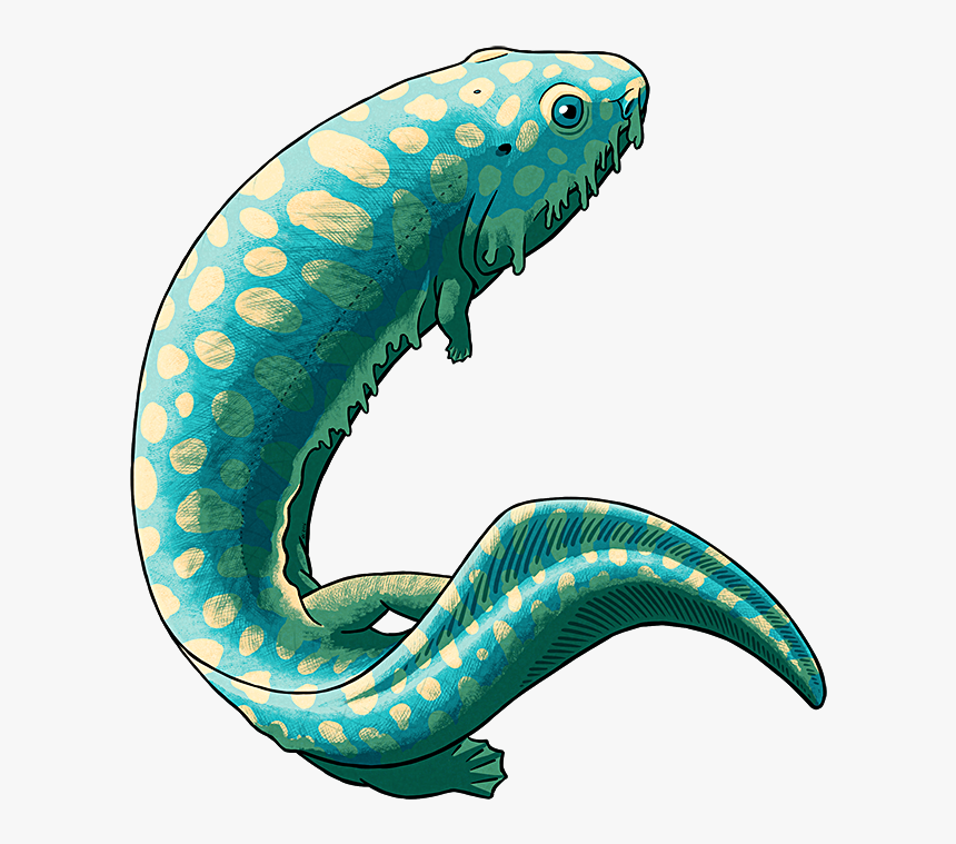 Carboniferous Period Animals Transparent, HD Png Download, Free Download