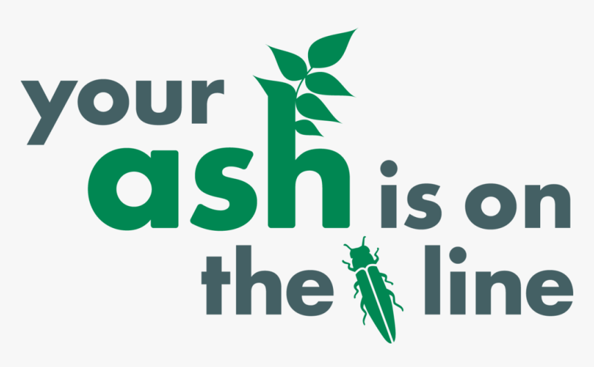 Yourashisontheline - Graphic Design, HD Png Download, Free Download