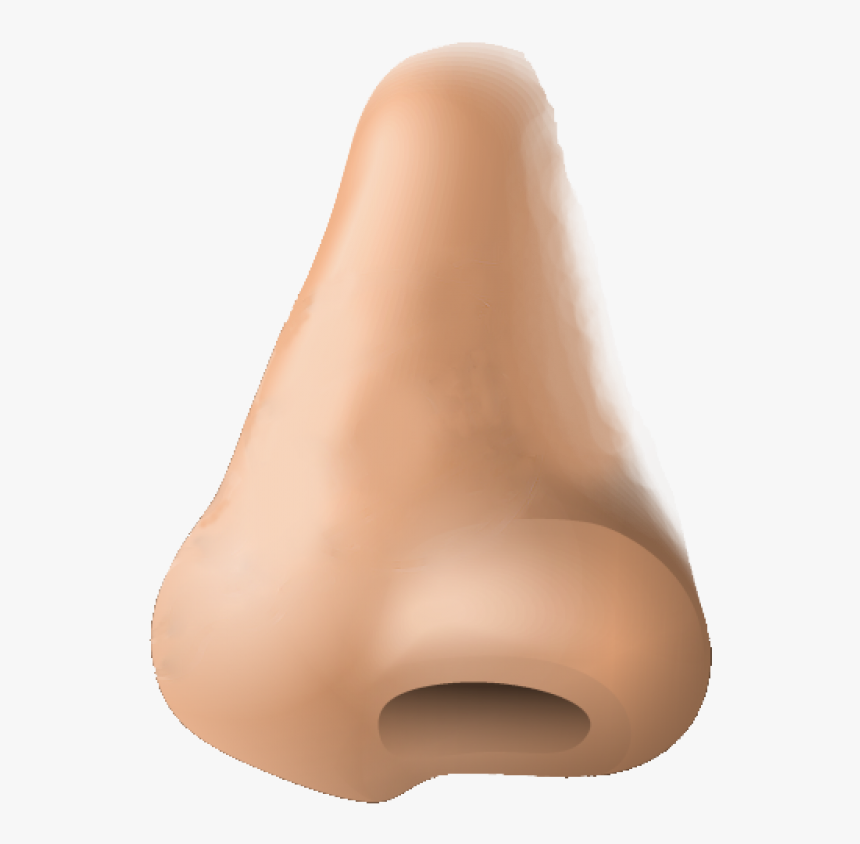 Human Nose Png Image - Nose Png, Transparent Png, Free Download