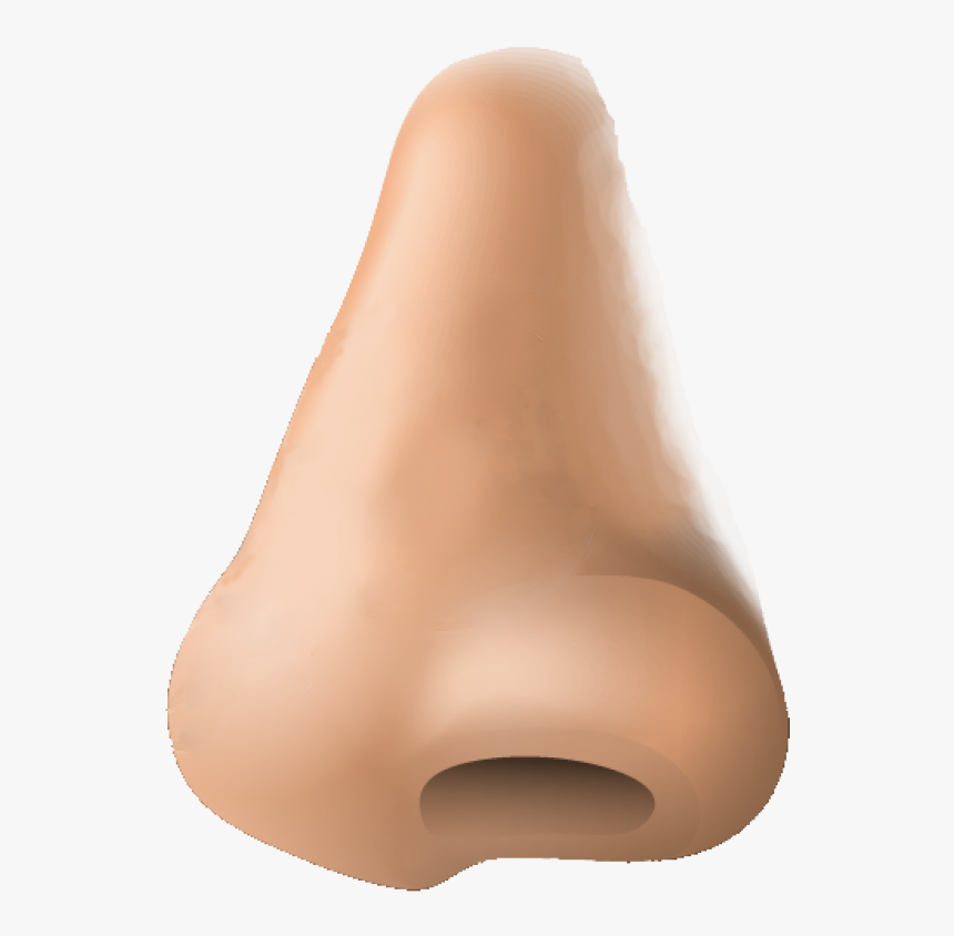 Human Nose Png Image - Nose Png, Transparent Png - kindpng.