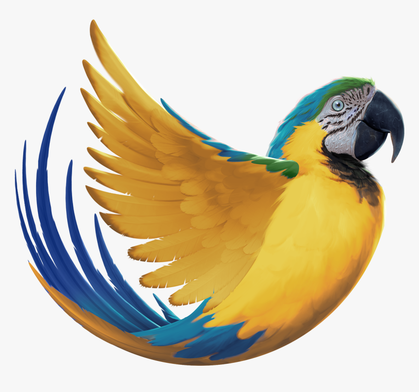 Macaw, HD Png Download, Free Download