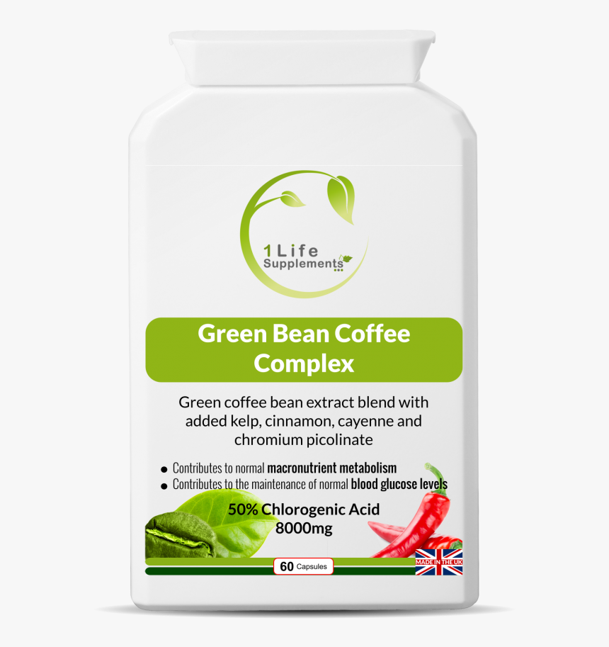 Frog, HD Png Download, Free Download