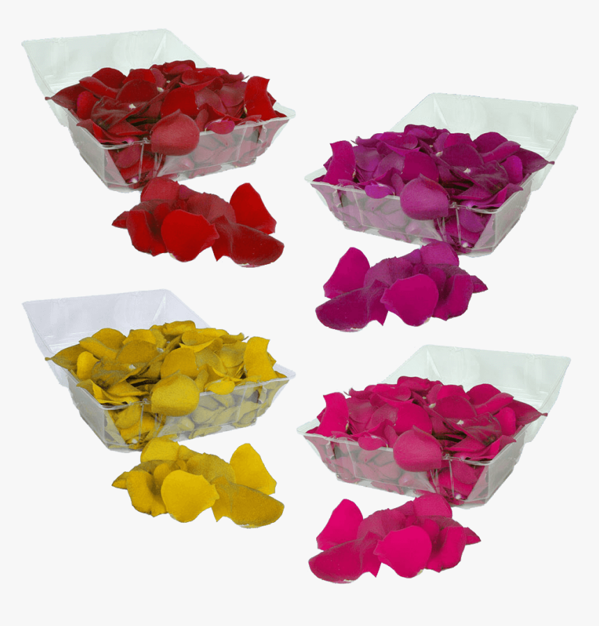 Premium Your Choice Of Color Rose Petals - Bougainvillea, HD Png Download, Free Download