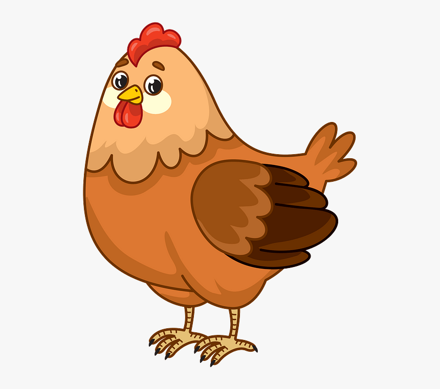 Clipart Picture Of Chicken, HD Png Download, Free Download