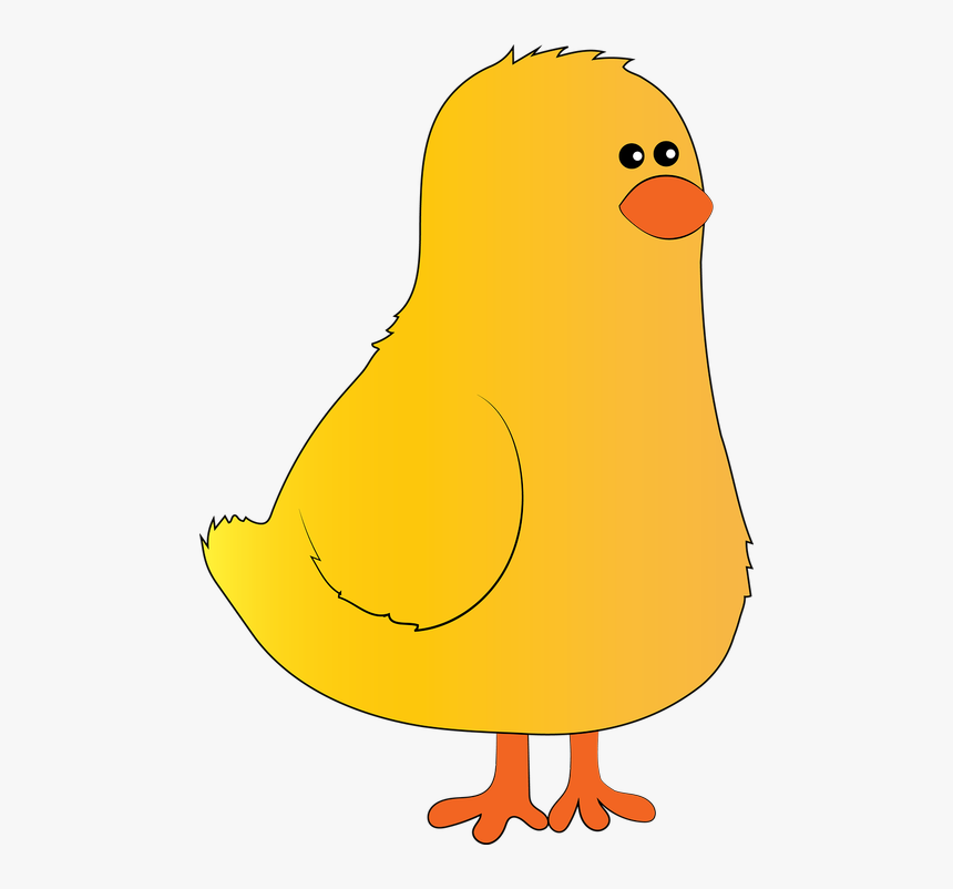 Chick Farm Hen - Cartoon, HD Png Download, Free Download