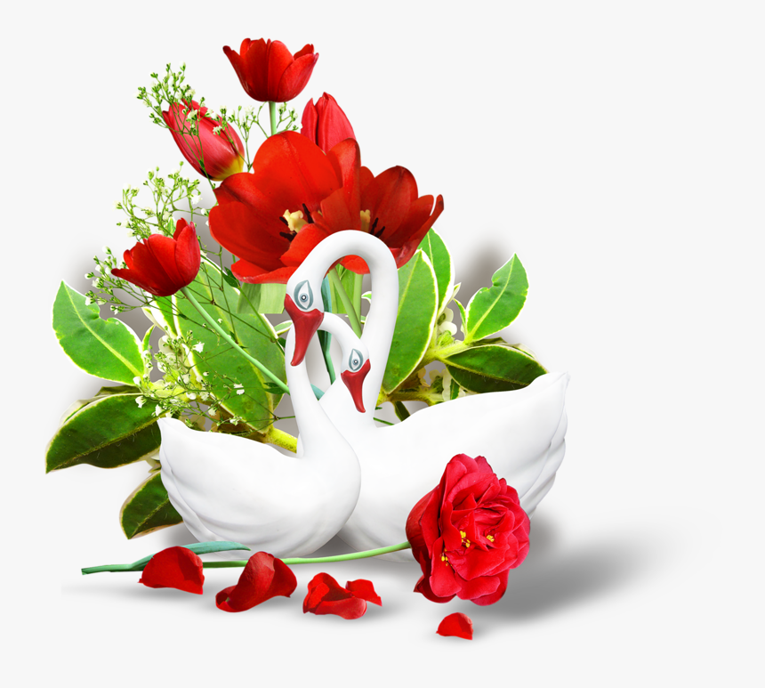 Real Flowers Image Download, HD Png Download, Free Download