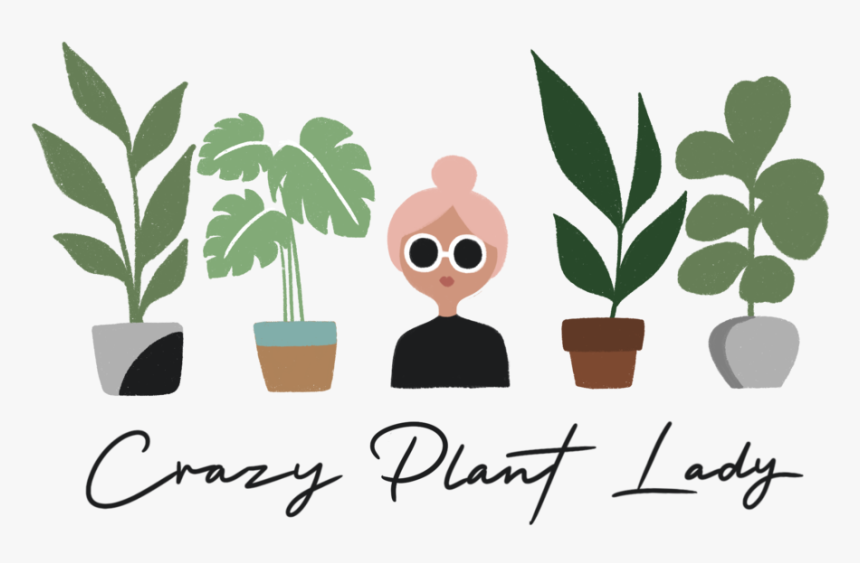 Plant Lady Black - Illustration, HD Png Download, Free Download