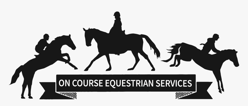 On Course Equestrian Services - Stallion, HD Png Download, Free Download