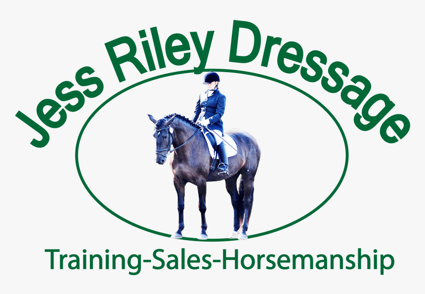 Lessons And Schooling, Jess Riley Dressage, Dressage - Stallion, HD Png Download, Free Download