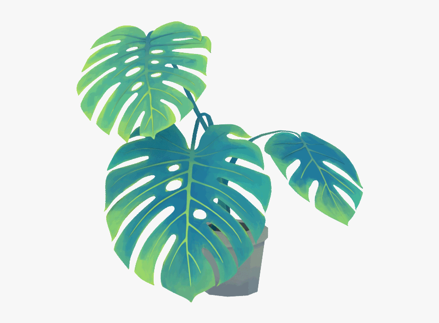 #3d #plant #green #monstera - Transparent Aesthetic Plant Gif, HD Png Download, Free Download