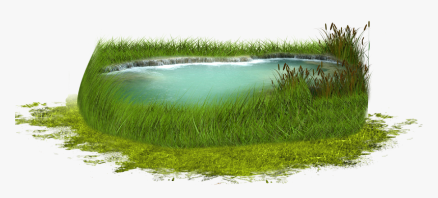 #pond #water #grass - Water Pond Pond Icon, HD Png Download, Free Download
