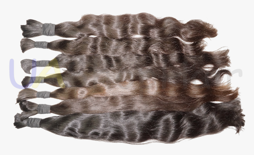 Lace Wig, HD Png Download, Free Download