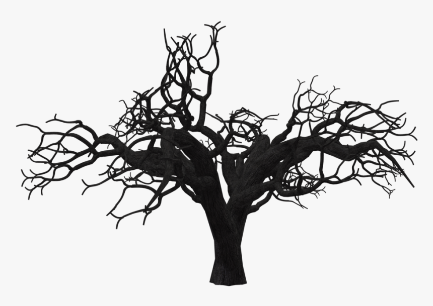 Creepy Tree Png - Transparent Png Creepy Tree Png, Png Download, Free Download