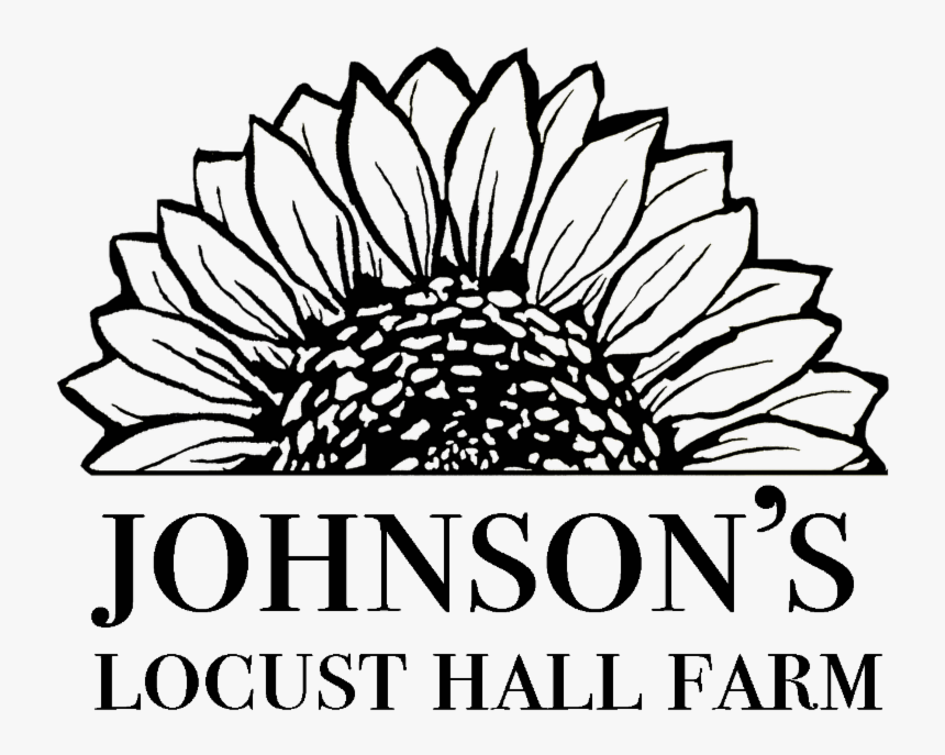 Johnson"s Locust Hall Sunflower Logo - Johnson's Locust Hall Farm Logo, HD Png Download, Free Download