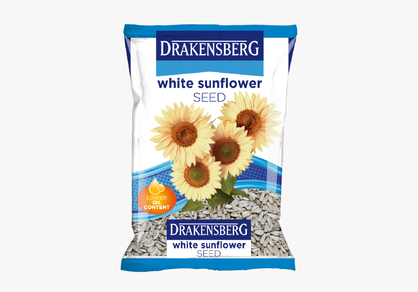 White Sunflower Seed - Sunflower, HD Png Download, Free Download