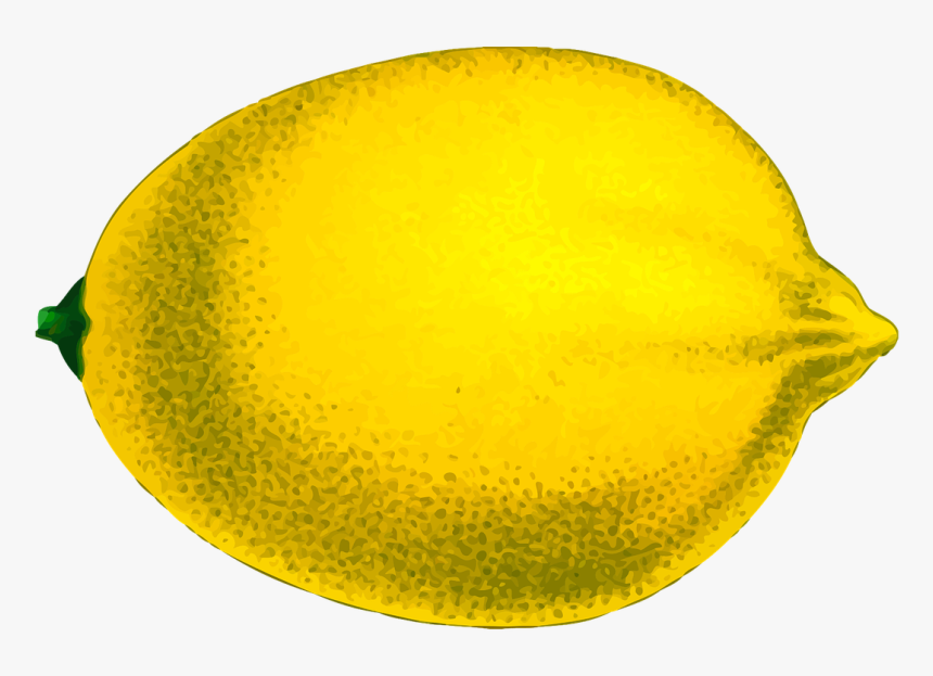 Lemon, HD Png Download, Free Download