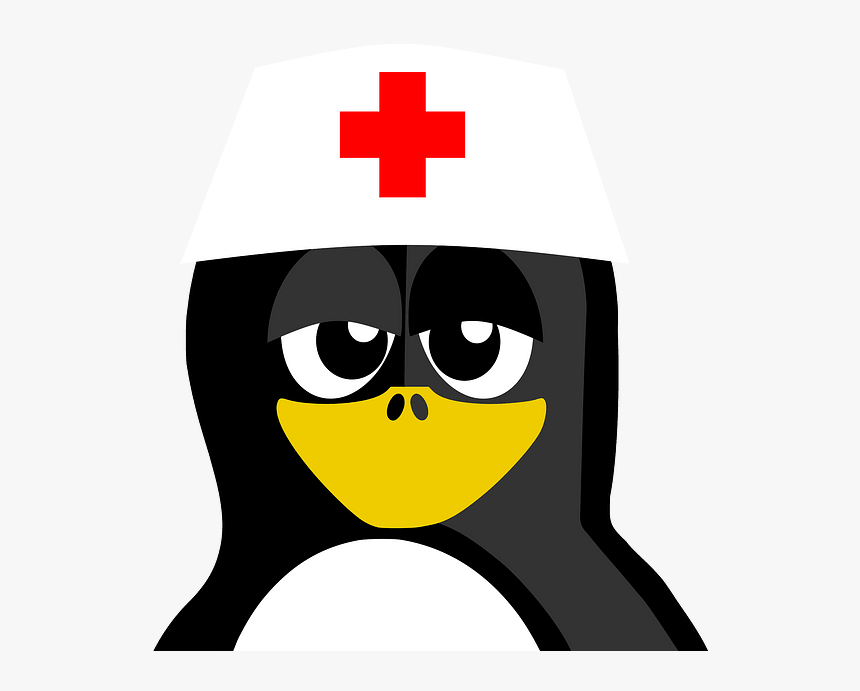 Nurse Penguin, HD Png Download, Free Download