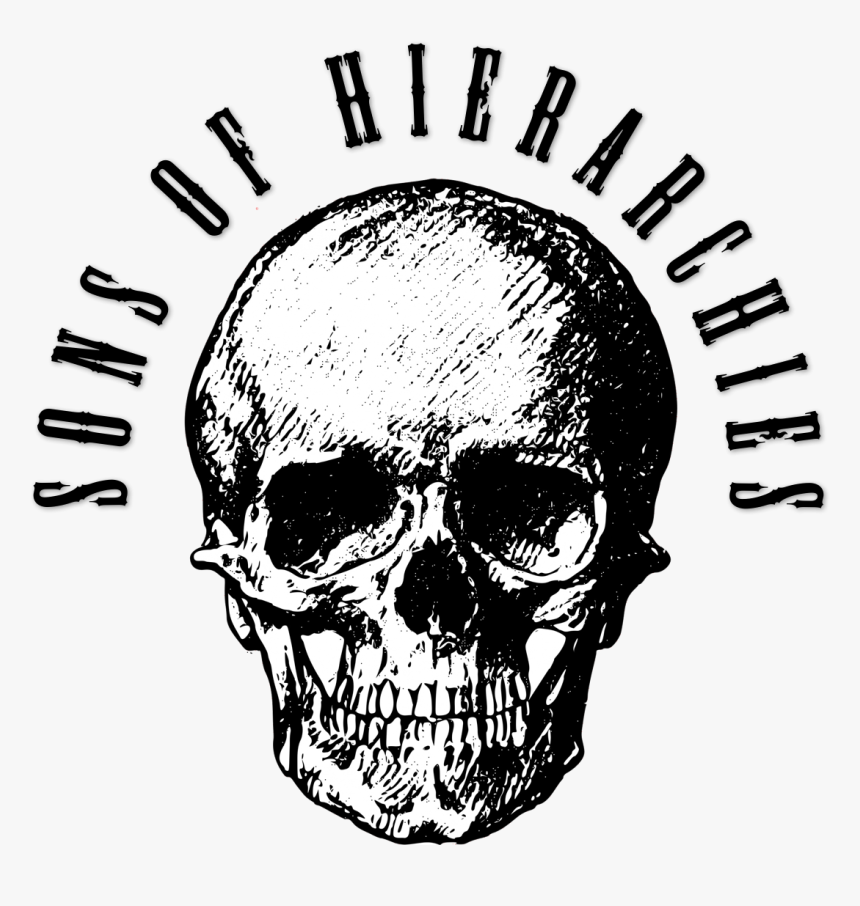 Sons Of Hierarchies - Transparent Aesthetic Skull Png, Png Download, Free Download