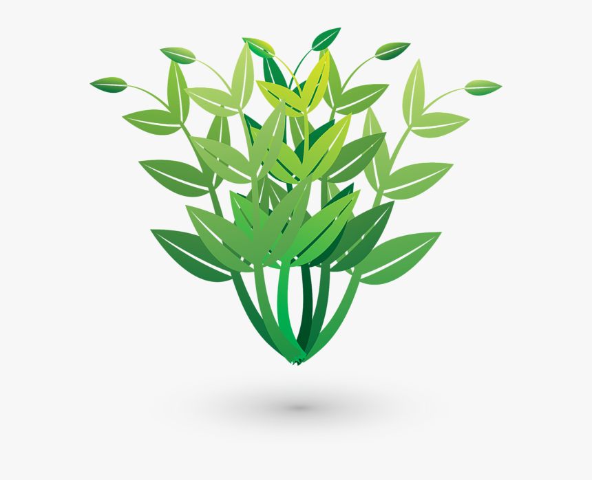 Plants, HD Png Download, Free Download