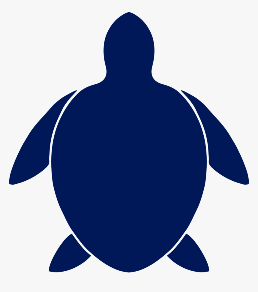 Turtle, HD Png Download, Free Download