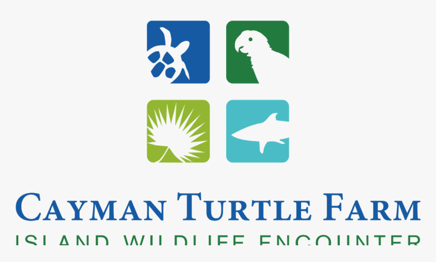 Cayman Turtle Farm Logo Vector - Cayman Turtle Farm, HD Png Download, Free Download