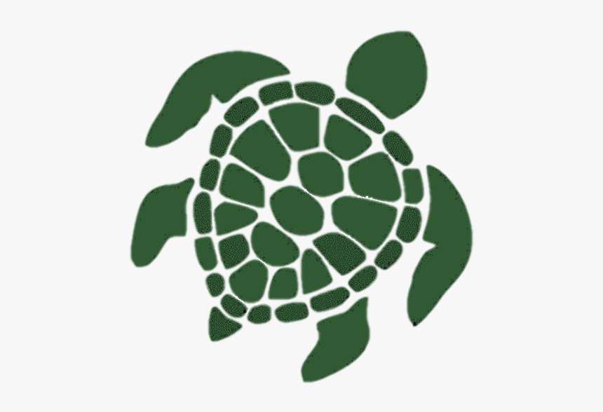 Html5 Icon - Black And White Sea Turtle Drawing, HD Png Download, Free Download