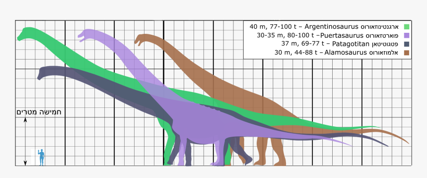 Biggest Titanosaurs Ver18 He - Dinosaur Size Comparison Biggest, HD Png Download, Free Download