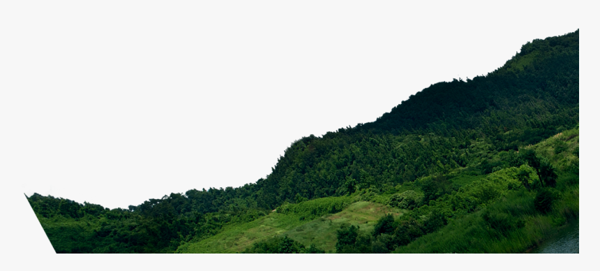 Mountain Png Download - Mountain Tree Png, Transparent Png, Free Download