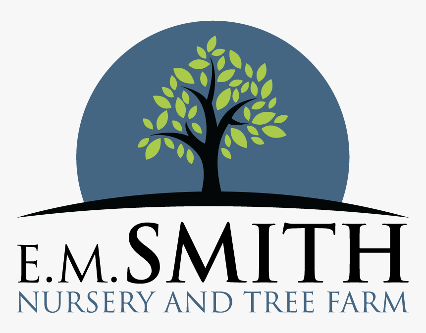 Smith Nursery & Tree Farm Goodhope, Ga Shade Trees - Smayan Healthcare Pvt Ltd, HD Png Download, Free Download