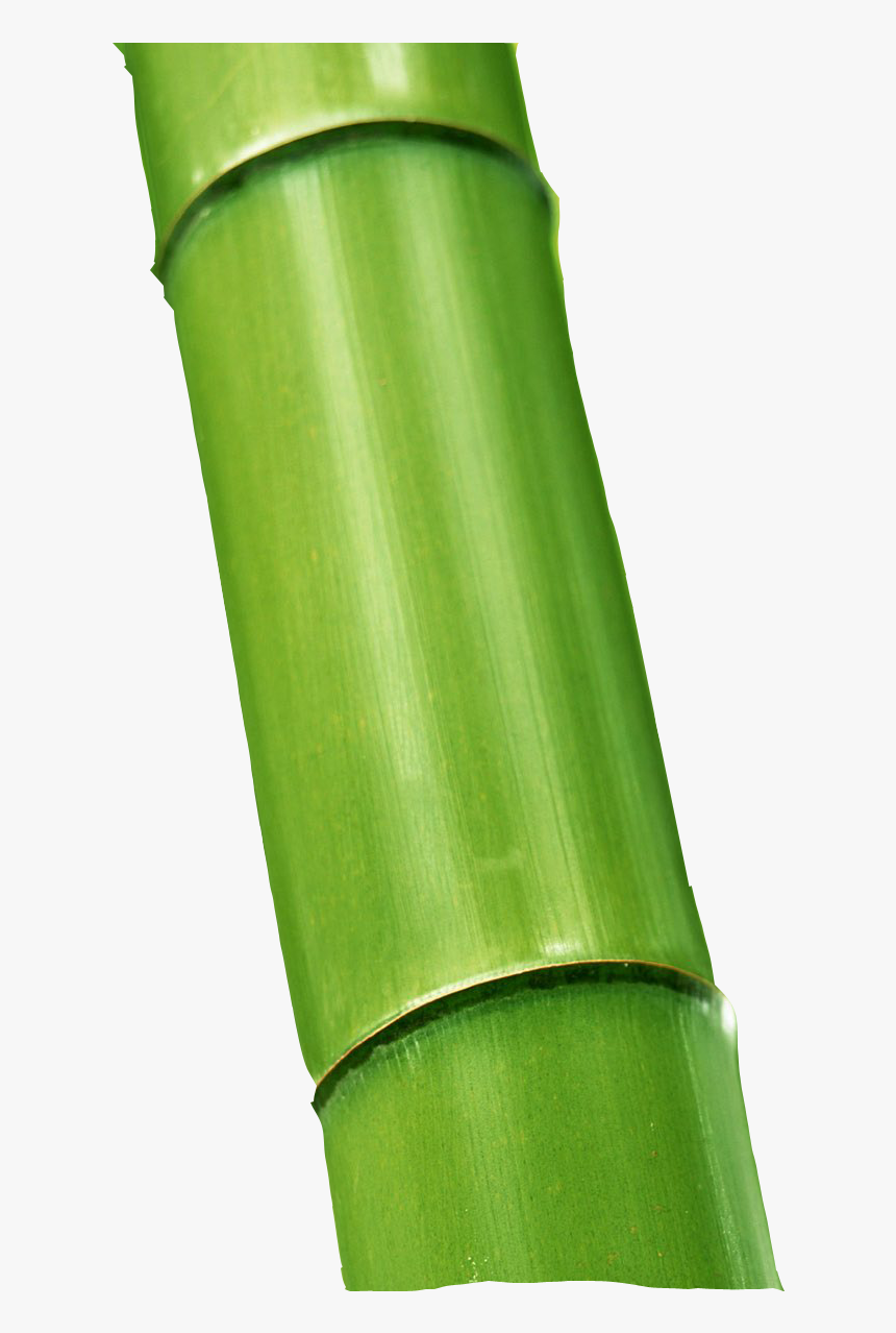 Green Bamboo, HD Png Download, Free Download