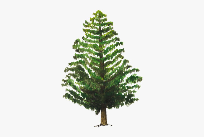 Artificial Christmas Tree Pine Douglas Fir - Beneficios De Abrazar Un Arbol, HD Png Download, Free Download