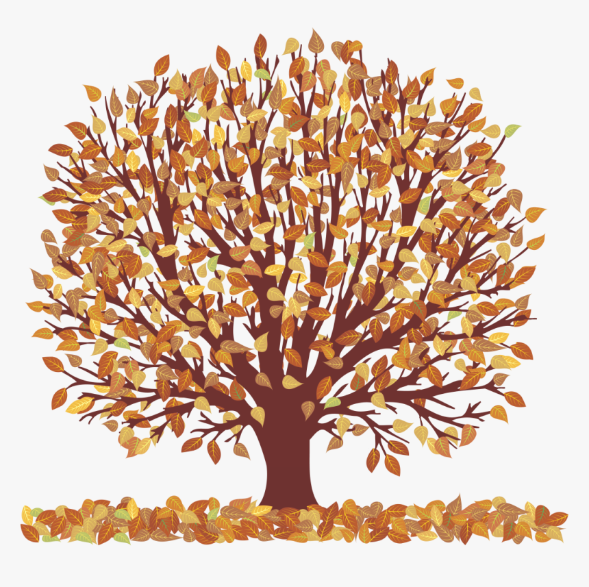 Autumn Tree - Transparent Background Autumn Tree Clipart, HD Png Download, Free Download