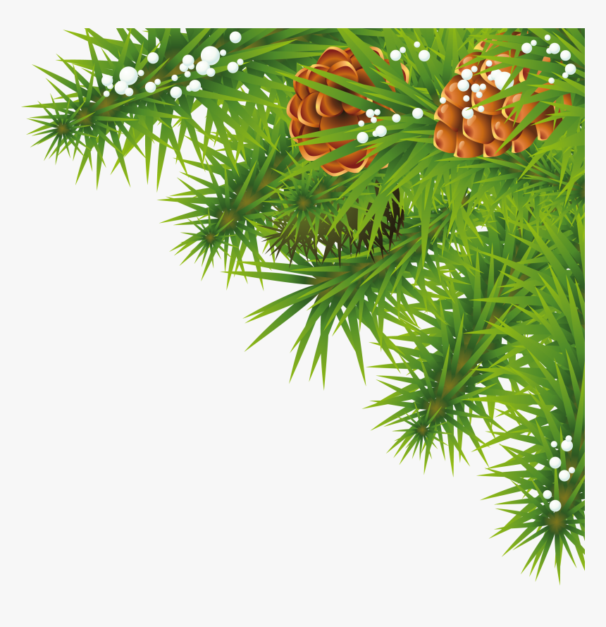 Fir-tree Branch Png Image - Tree Png Background Hd, Transparent Png, Free Download