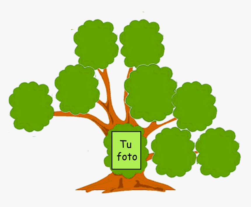 Transparent Arboles Animados Png - Arbol Genealogico Clipart, Png Download, Free Download
