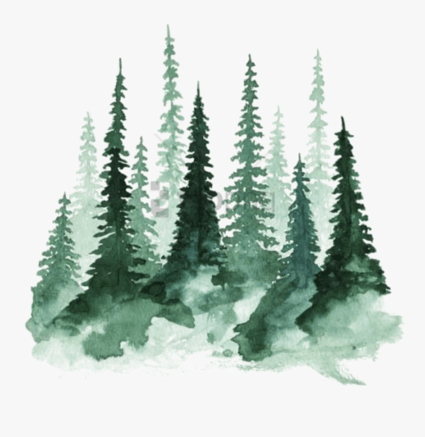Shortleaf Black Pine,colorado Spruce,balsam Fir,conifer,pine - Alpha Xi Delta Background, HD Png Download, Free Download