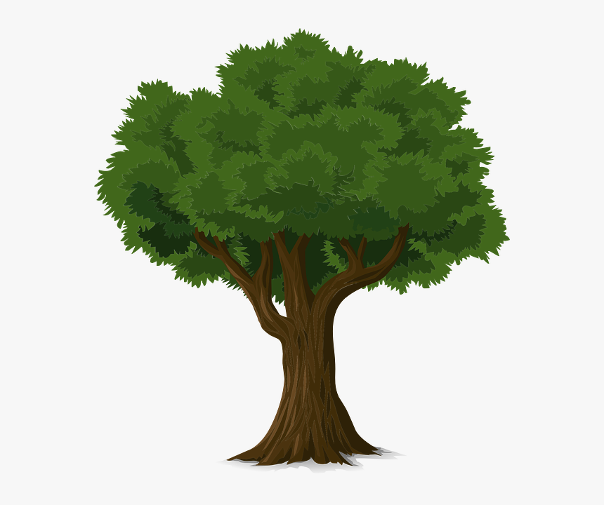 Free Image On Pixabay - Big Tree, HD Png Download, Free Download