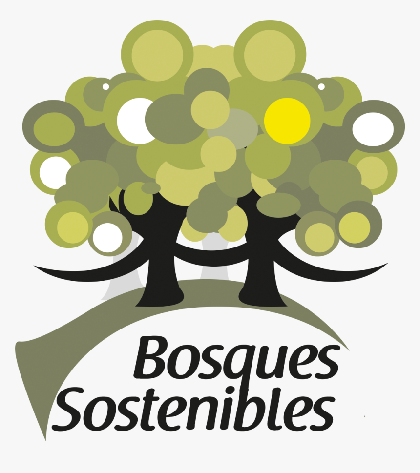 Bosques Sostenibles - Tree, HD Png Download, Free Download