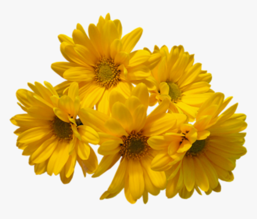 Yellow Aesthetic Flower Transparent, HD Png Download, Free Download