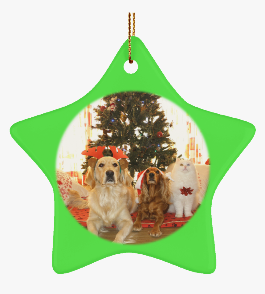 Pet Christmas Tree Ornament Cat Gift Crafted Holiday - Pet Sitter Christmas, HD Png Download, Free Download